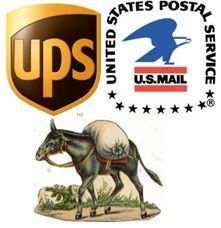 Domestic Shipping Options