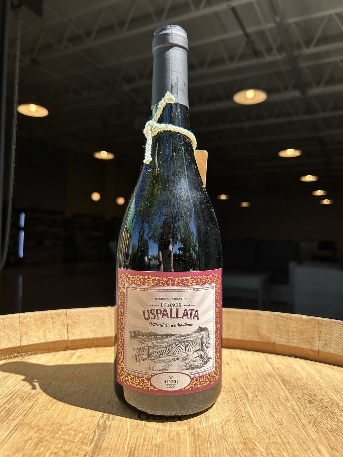 2020 Estancia Uspallata, Igneo, Mendoza