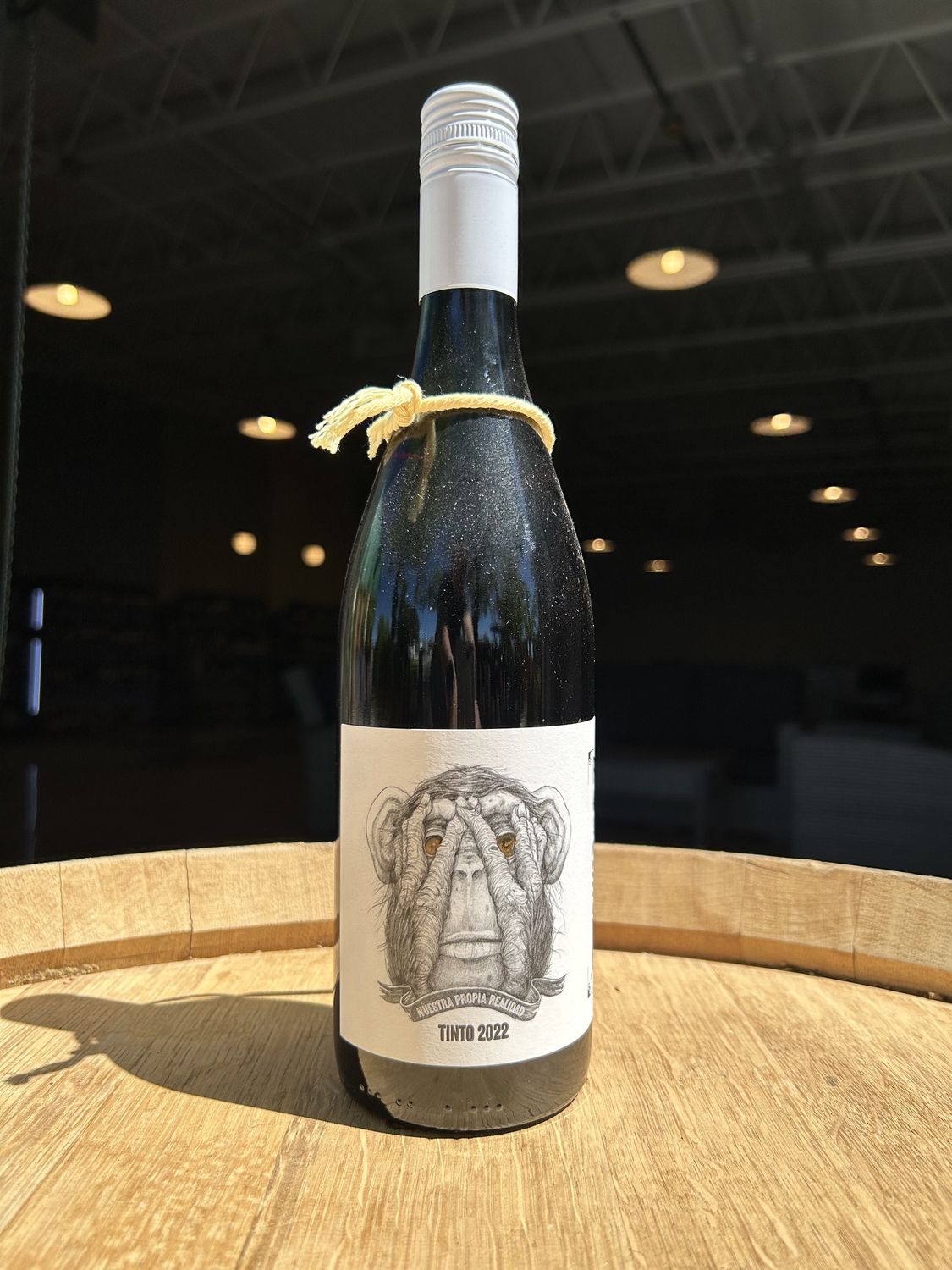 2022 Passionate Wines, Tinto 'Del Mono', Uco Valley, Mendoza