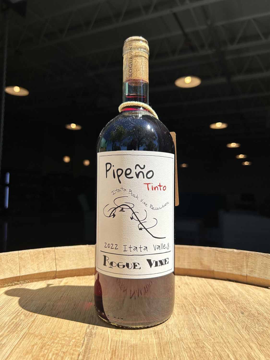 2022 Rogue Vine, Tinto 'Pipeno', Itata Valley