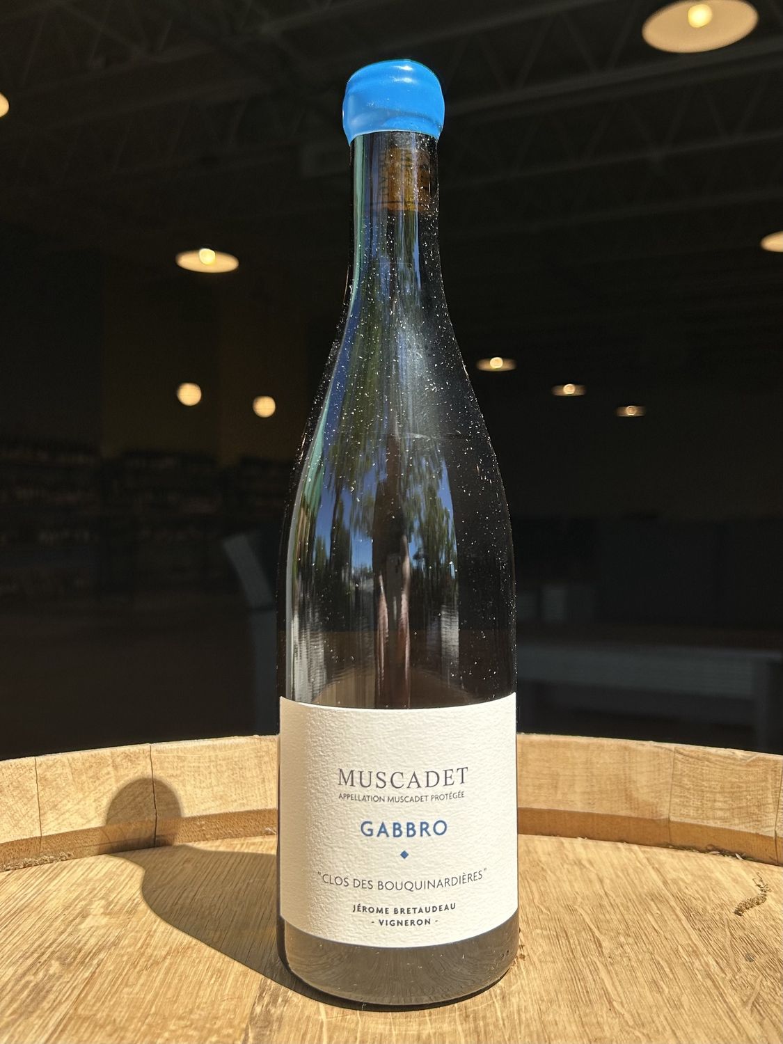 2022 Domaine Bretaudeau, Muscadet 'Gabbro - Clos des Bouquinardieres', Loire, France