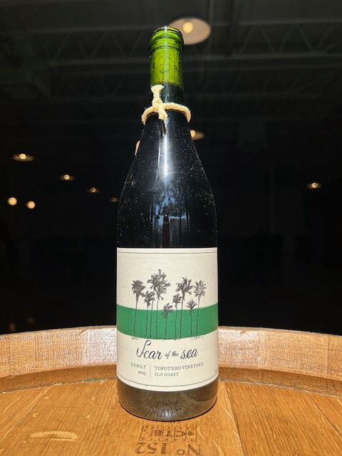 2023  Scar of the Sea, Gamay, Topotero Vineyard, Central Coast, CA, USA
