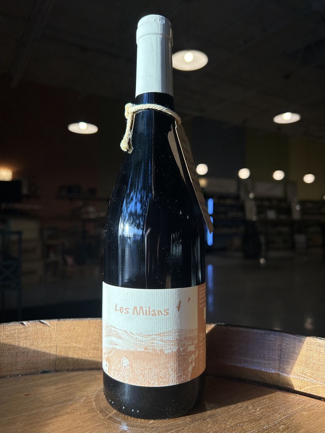 2024 Marie et Vincent Tricot, 'Les Milans' Auvergne, VDF, France