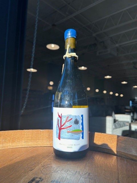 2022 Anna Espelt, 'Pla de Gates Blanc', Cap Creus, Catalonia, Spain