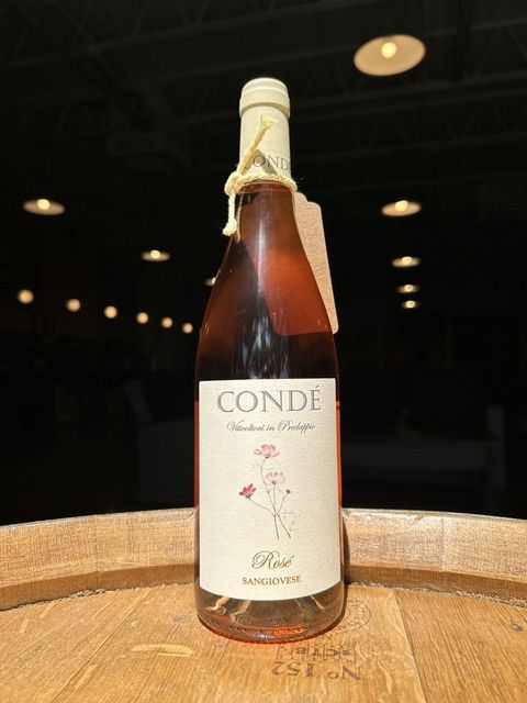 2024 Conde, Rose, Emilia- Romagna, Italy