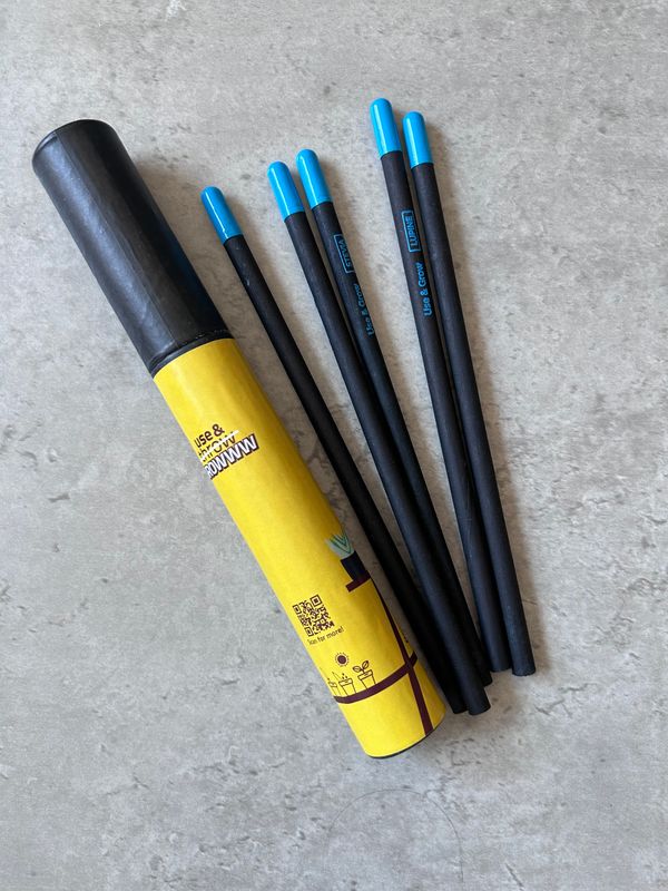 Premier Plantable pencils