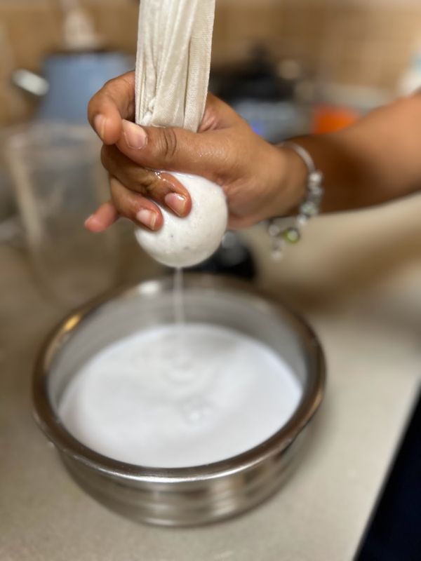 Nutmilk bag