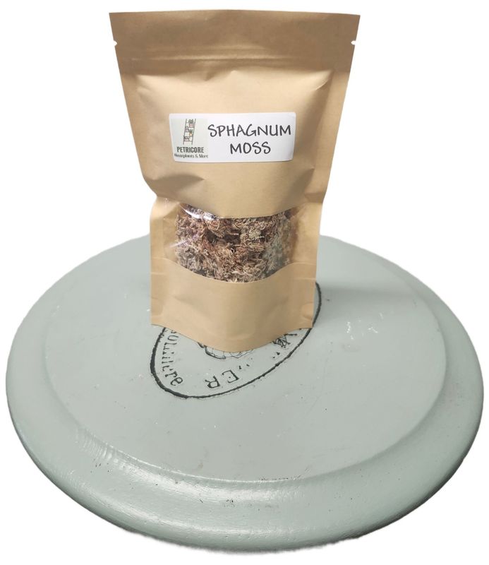 SPHAGNUM MOSS