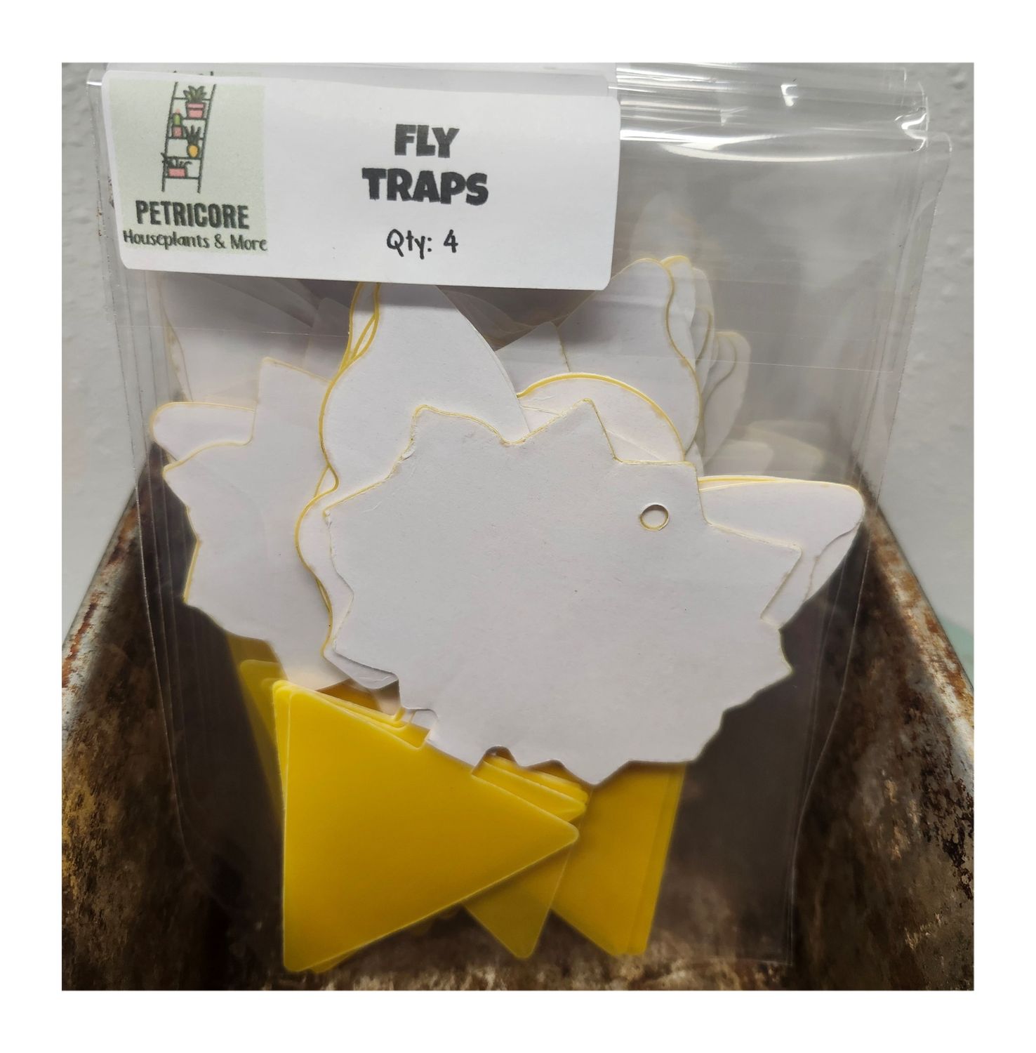 FLY TRAPS