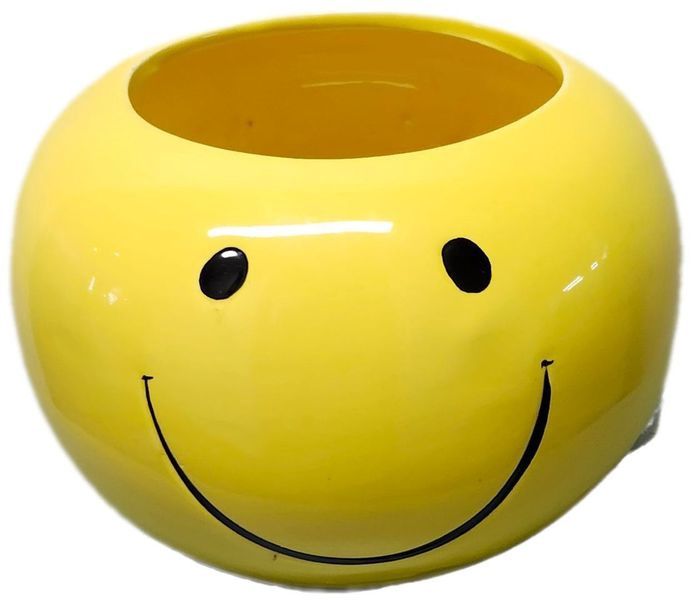 SMILEY FACE PLANTER
