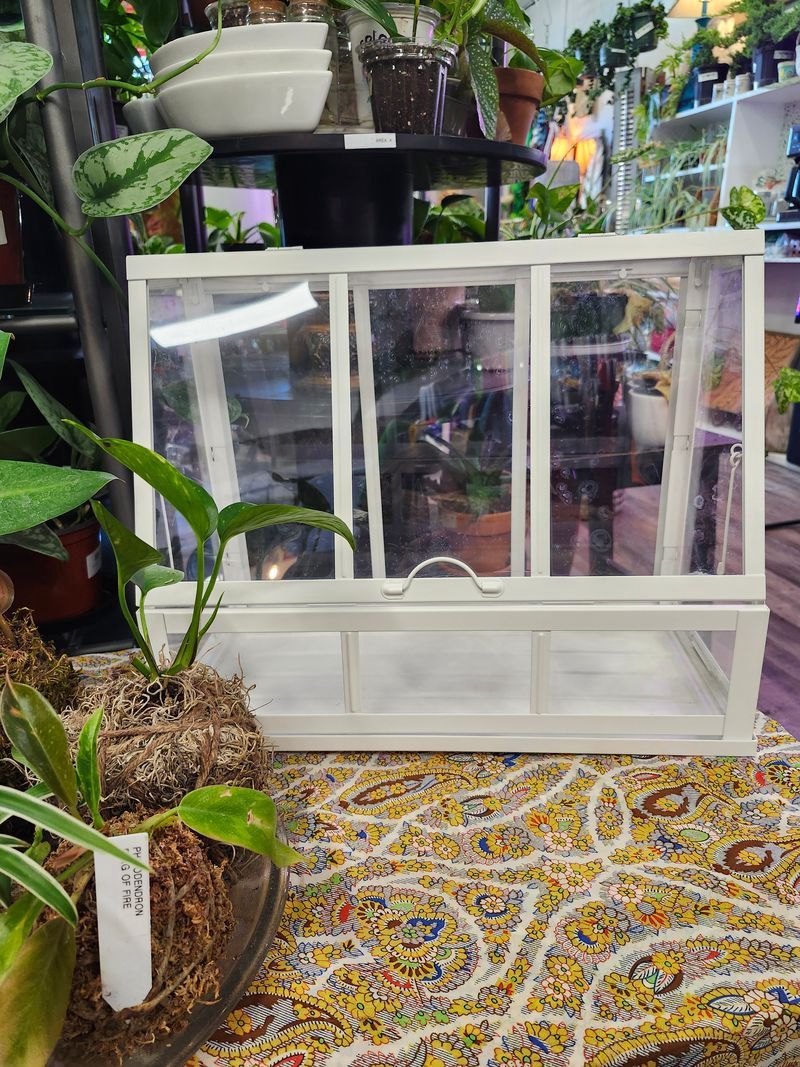 GREENHOUSE CABINET - WHITE