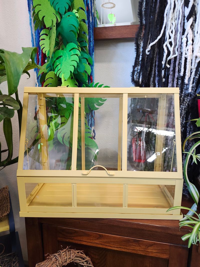GREENHOUSE CABINET - GOLD