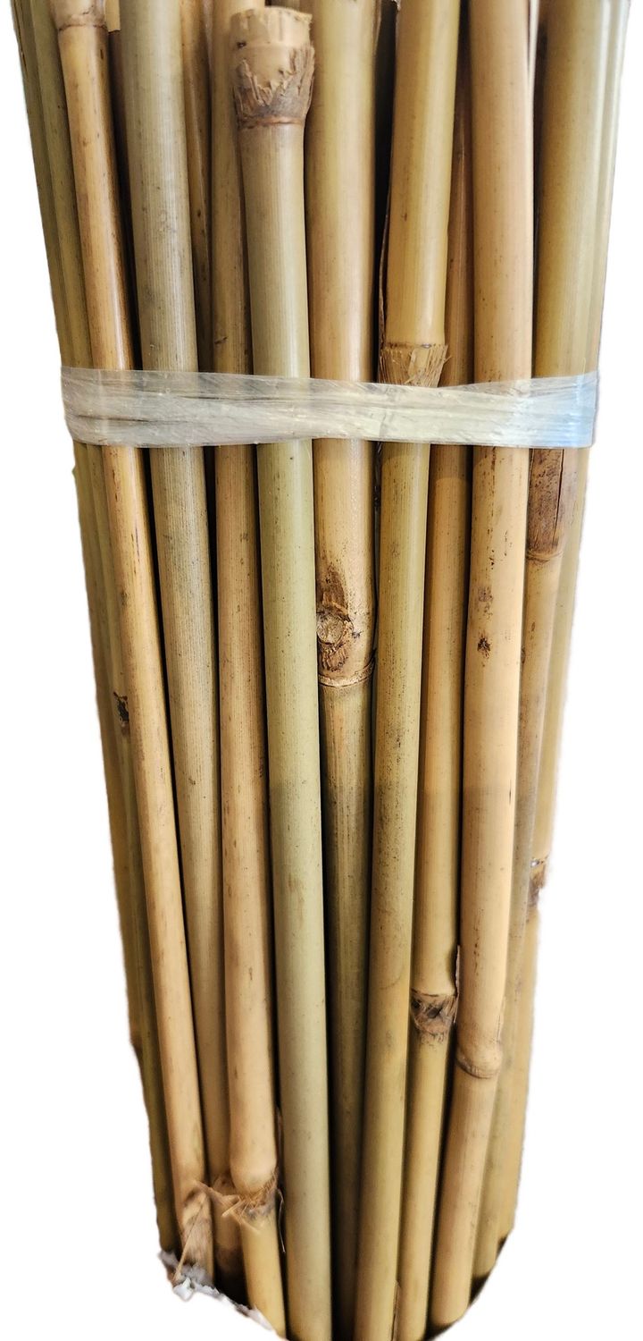 BAMBOO STICK 48&quot;