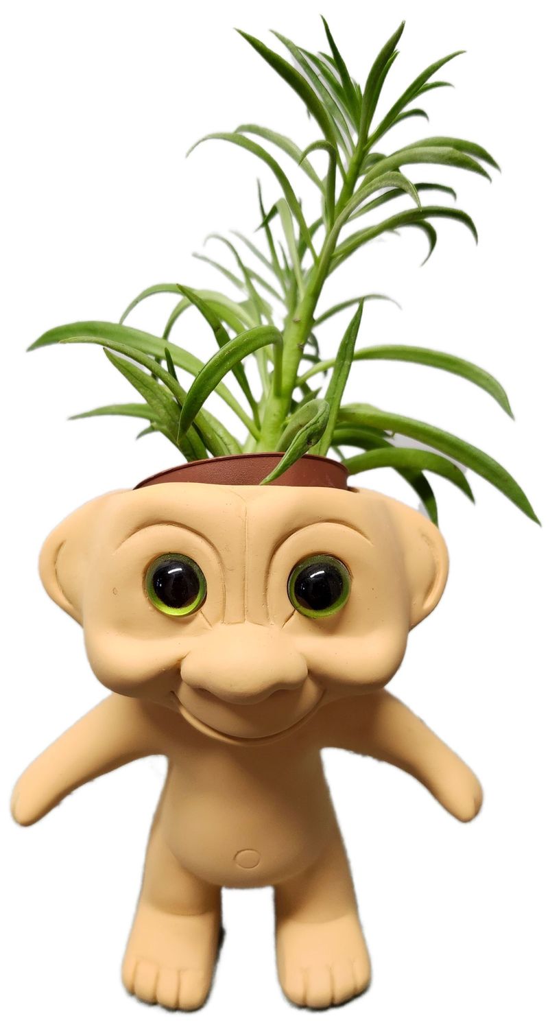 TROLL PLANTER
