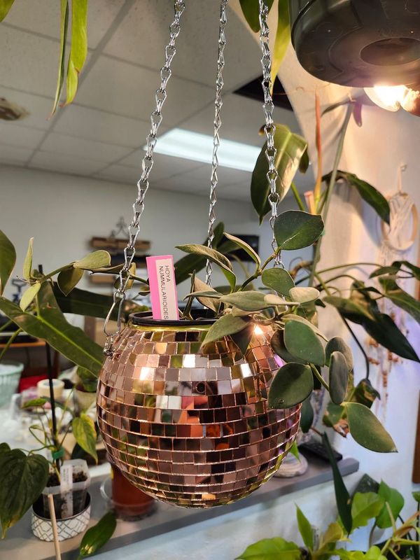 DISCO BALL PLANTER 6&quot; - ROSE GOLD