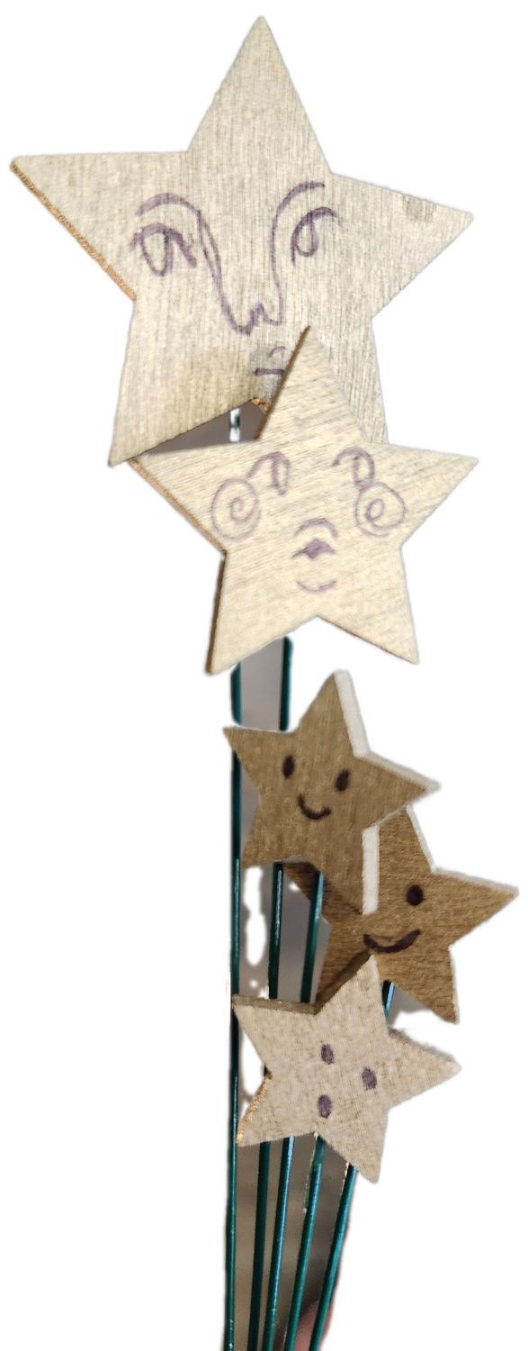 PLANT STAKES 6&quot; - STARS