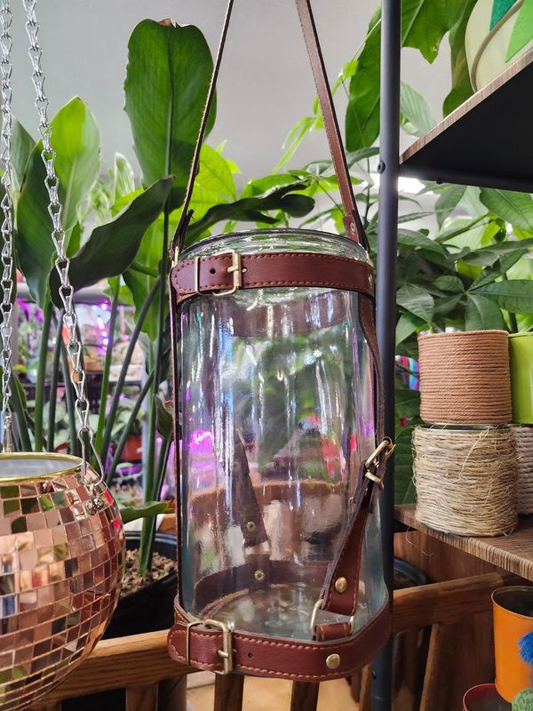 HANGING GLASS POT 5&quot; - BELT STRAPS