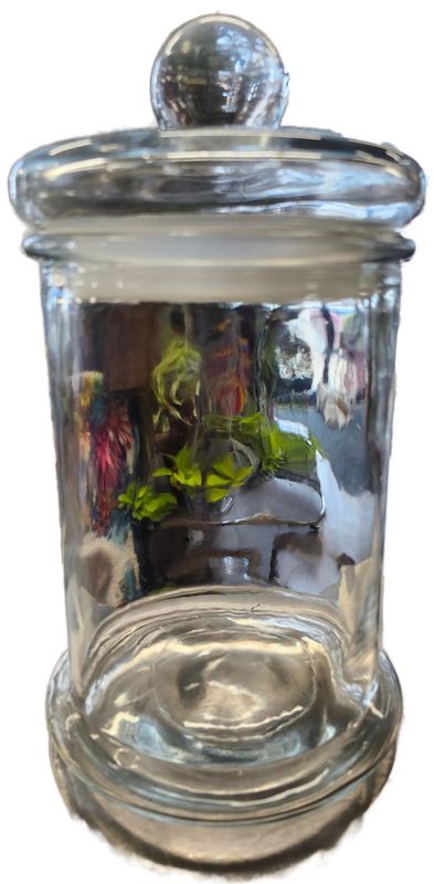 GLASS JAR 9&quot; W/LID