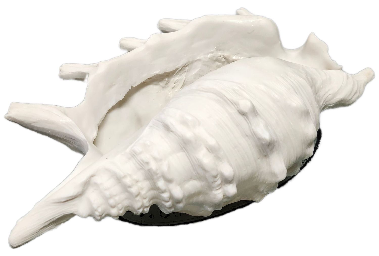SEASHELL PLANTER 10&quot;