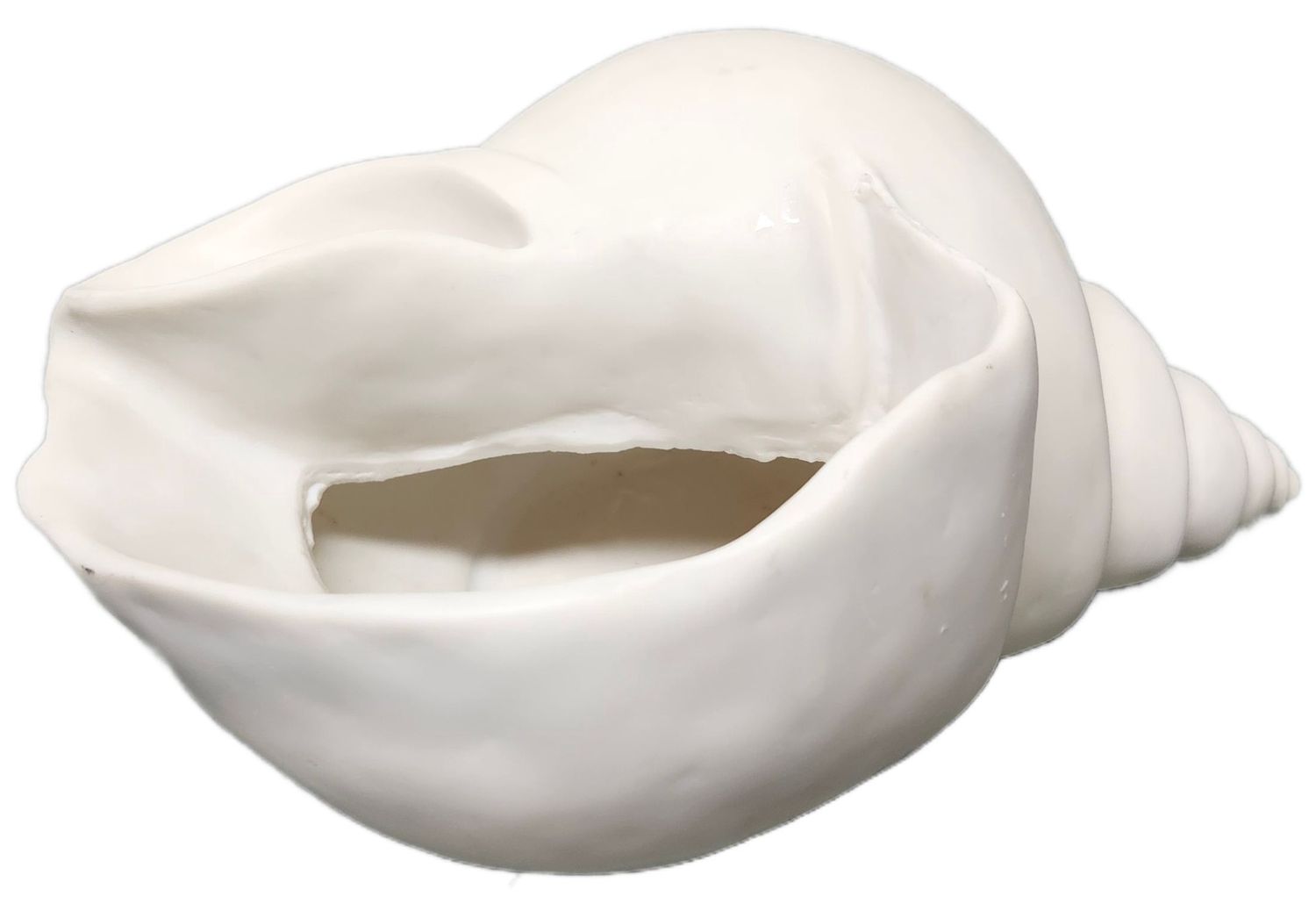 SEASHELL PLANTER 8&quot;