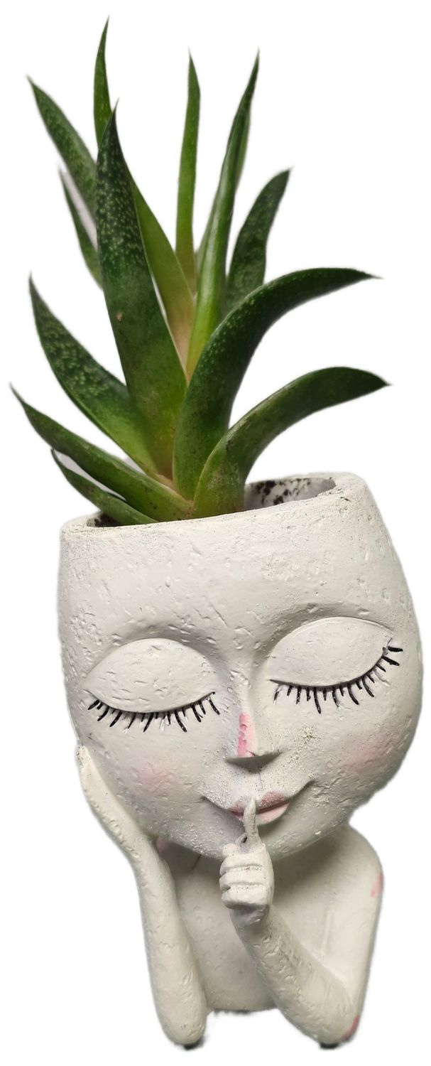 MINI FACE PLANTER W/SUCCULENT