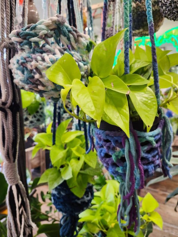 CROCHET PLANT HANGER - LARGE ASST