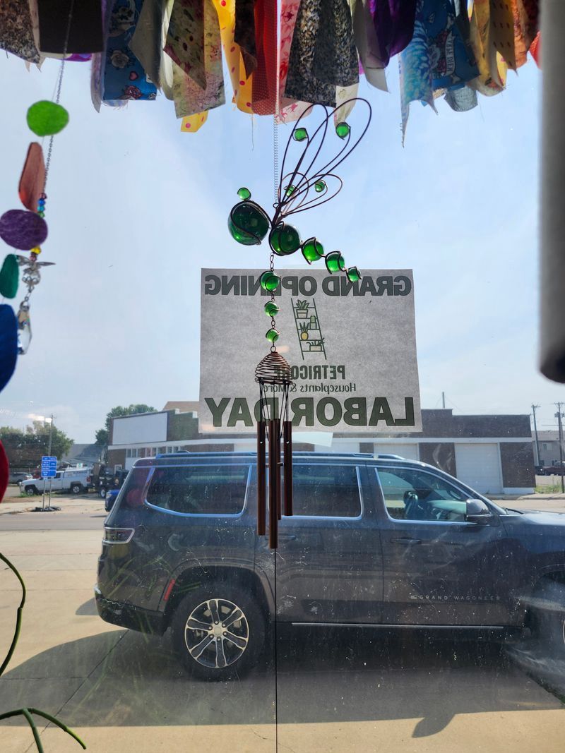 DRAGONFLY WIND CHIME - GREEN