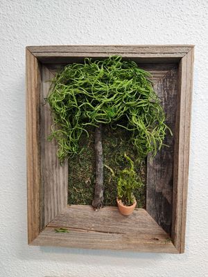 RUSTIC WALL ART 8X10&quot; - MOSS TREE