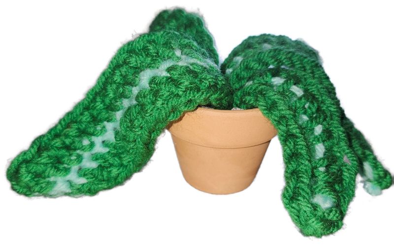 CROCHET PLANT MISC