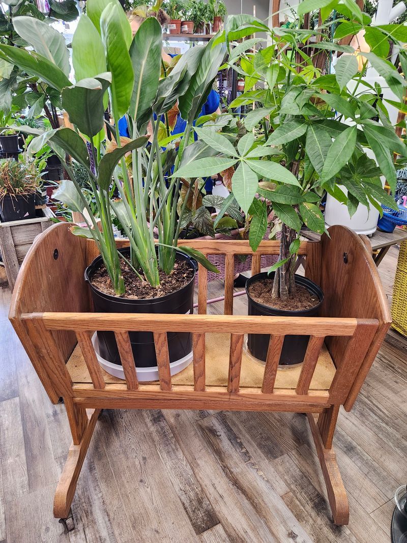 OAK PLANT STAND 32X34 - ROCKING CRIB