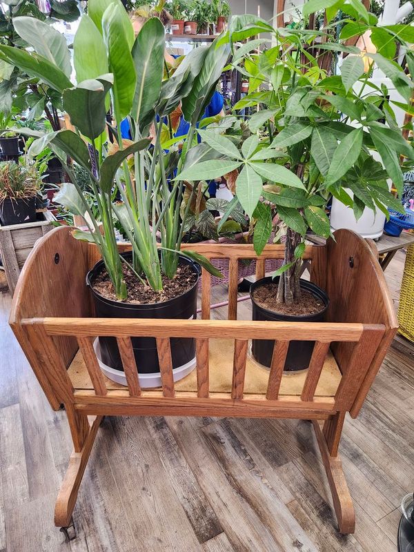 OAK PLANT STAND 32X34 - ROCKING CRIB
