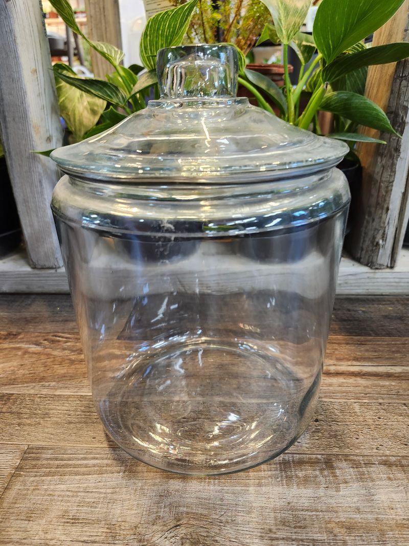 GLASS JAR 12&quot; - CLEAR W/LID