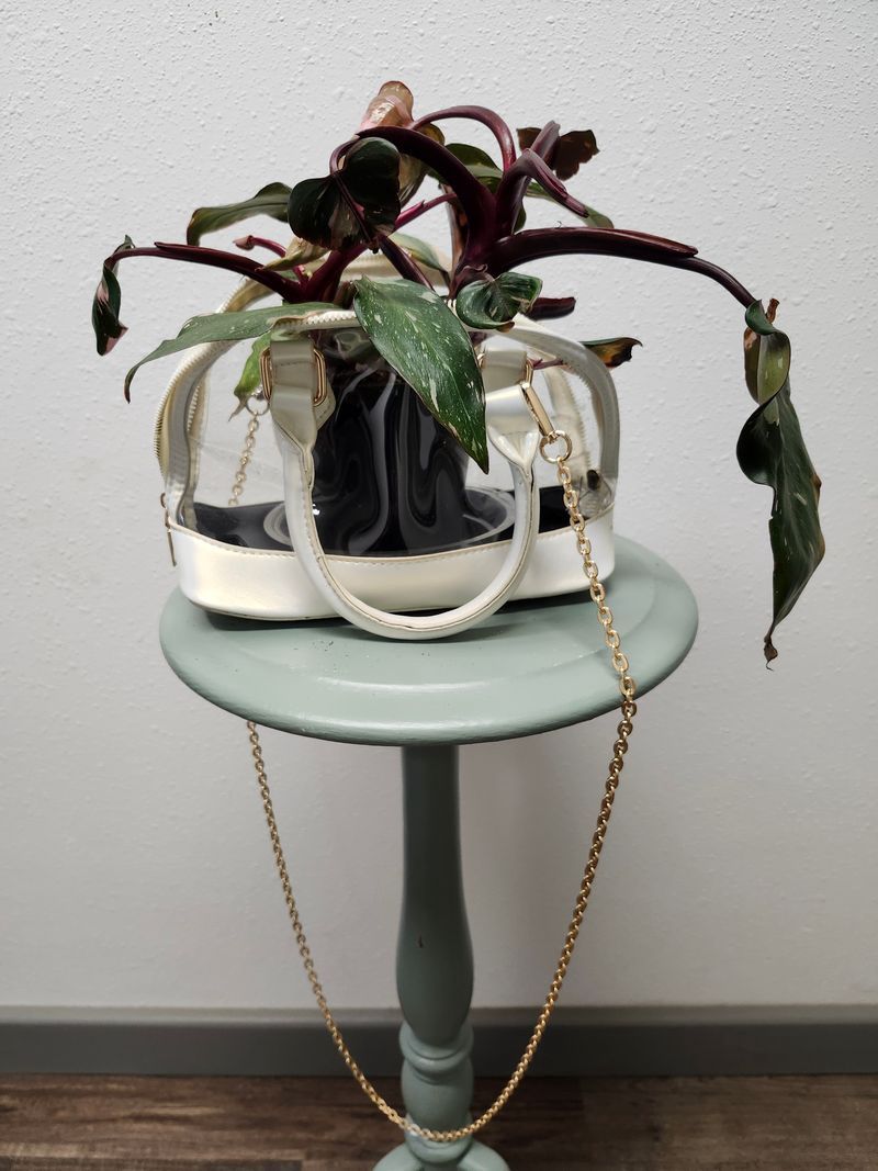 PURSE POT - CLEAR