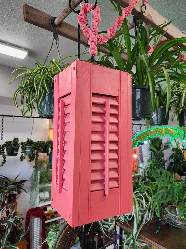 HANGING SHUTTER LAMP - CORAL
