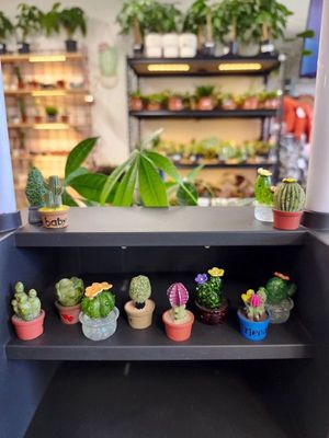 MINI RESIN POTTED PLANTS - ASST 1.5&quot;