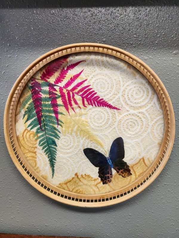 DOILIE TRAY 14&quot;