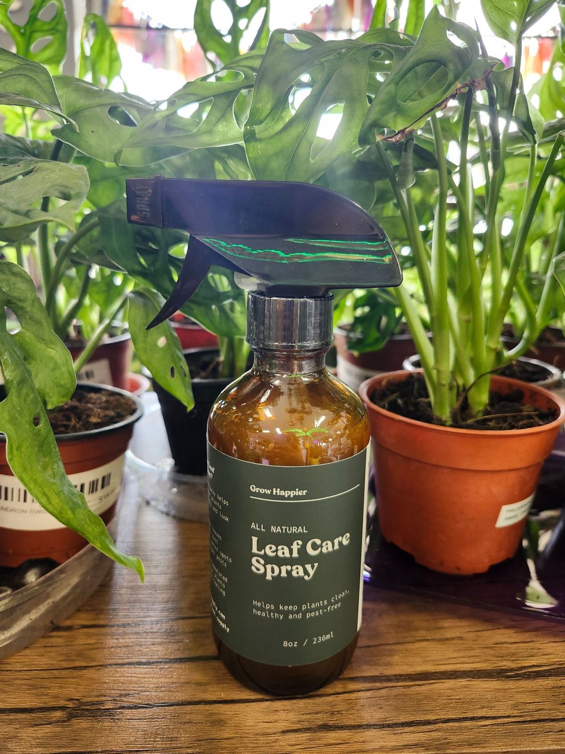 LEAF CARE SPRAY