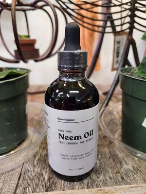NEEM OIL