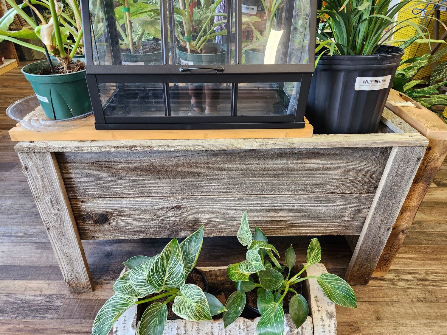 RAISED PLANTER