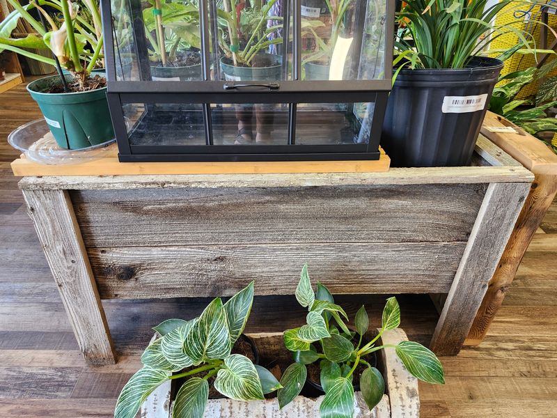RAISED PLANTER