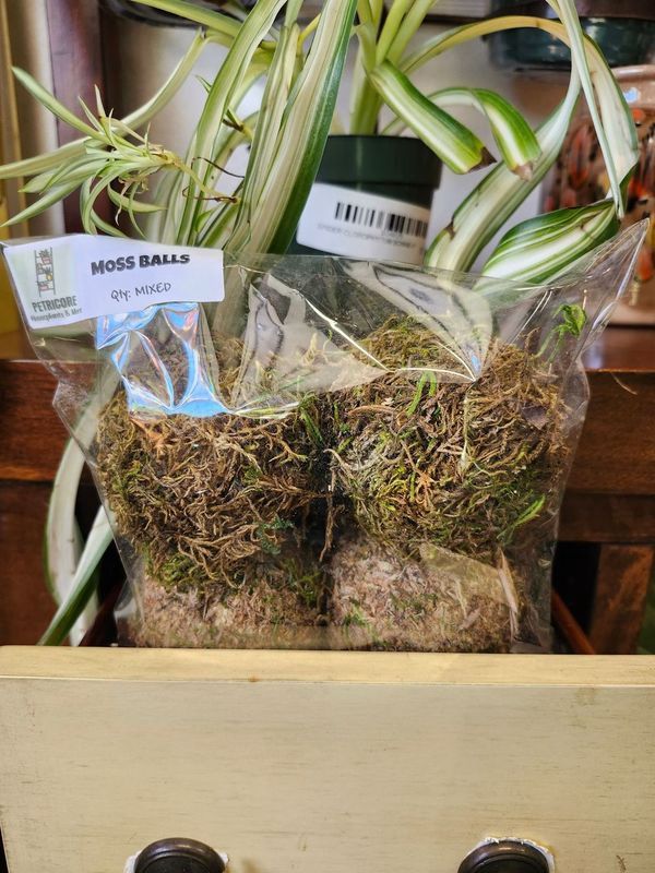 MOSS BALL PRESERVE - ASST