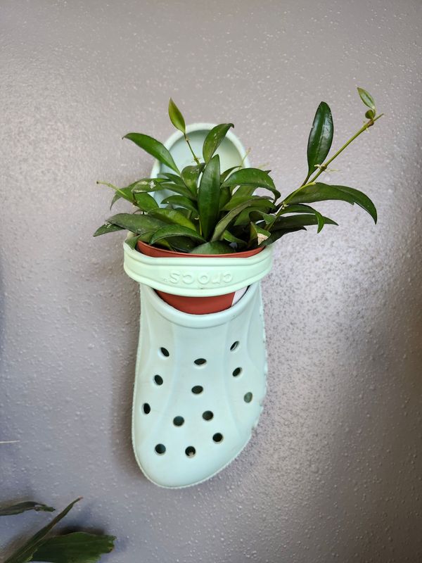 &quot;CROC&quot; POT