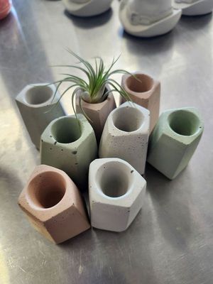 AIR PLANT POT LARGE - CONCRETE