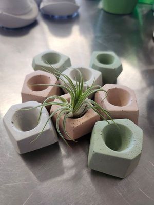 AIR PLANT POT MEDIUM - CONCRETE