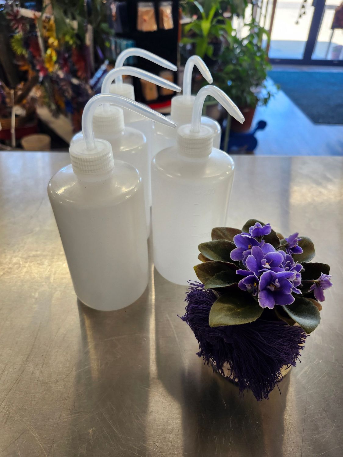 BALBOA BOTTLE