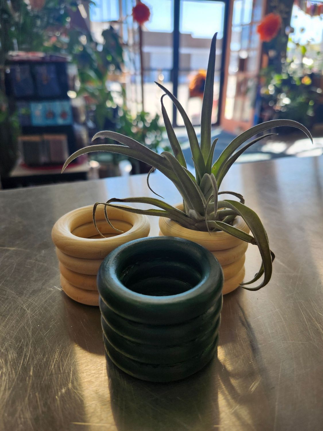 AIR PLANT HOLDER (LARGE)