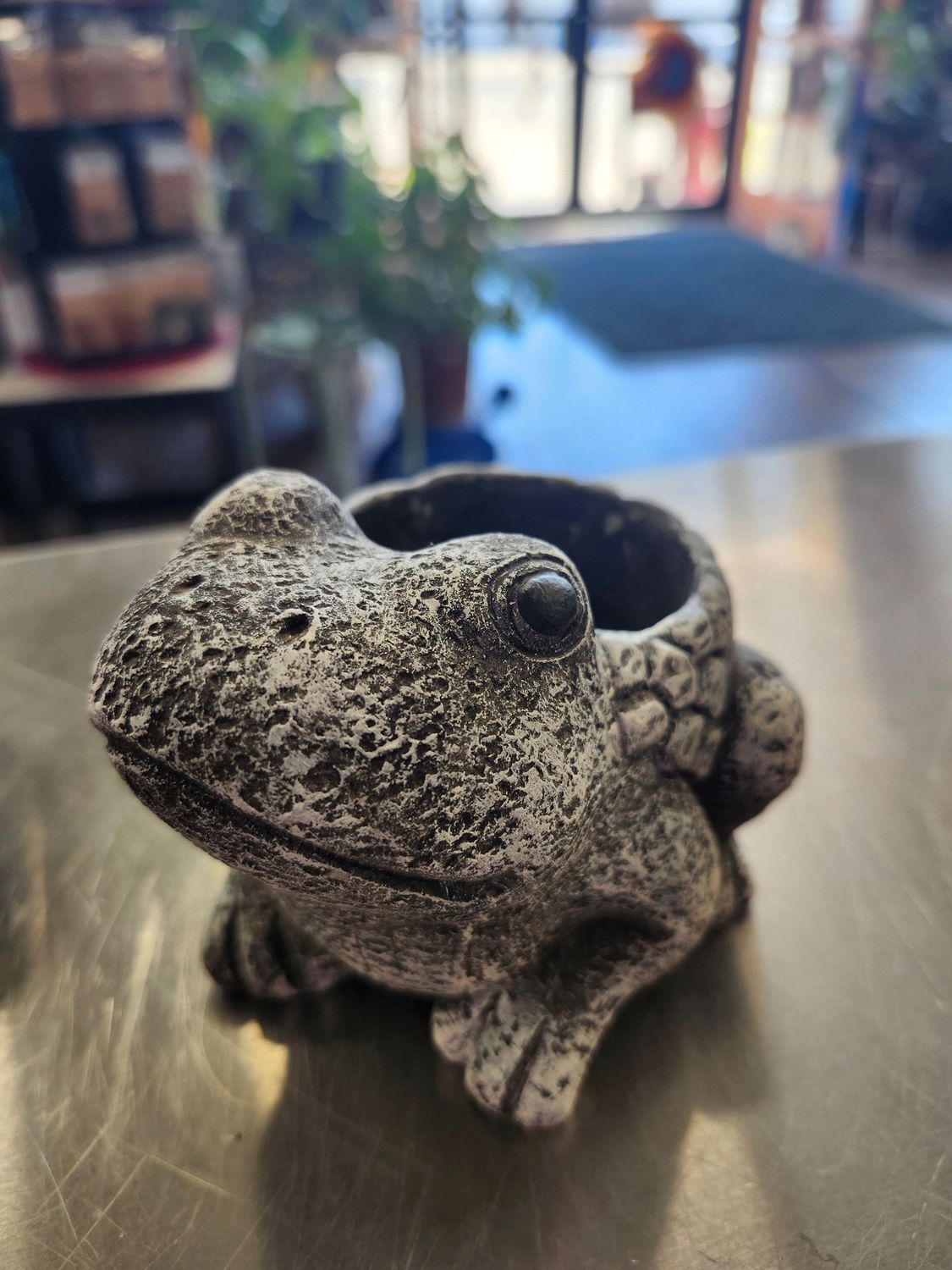 ANIMAL POT 3&quot;
