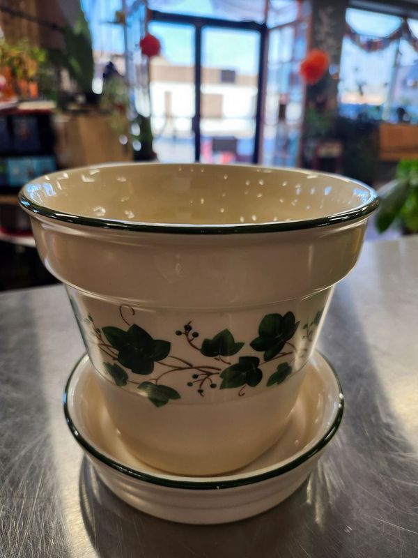 CERAMIC POT W/DRAIN - IVY