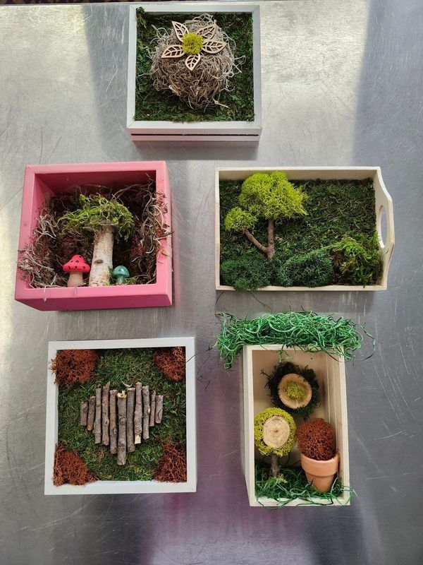 MOSS FRAMES MINI - ASST