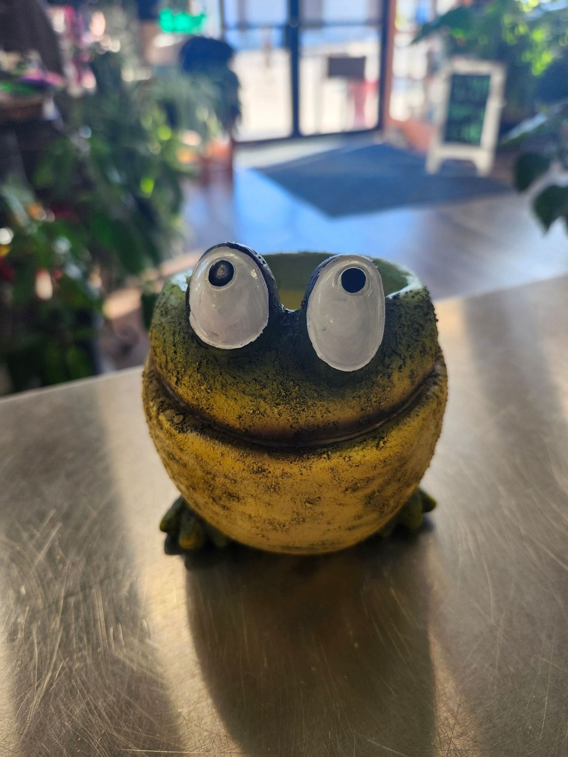 FROG POT W/DRAIN